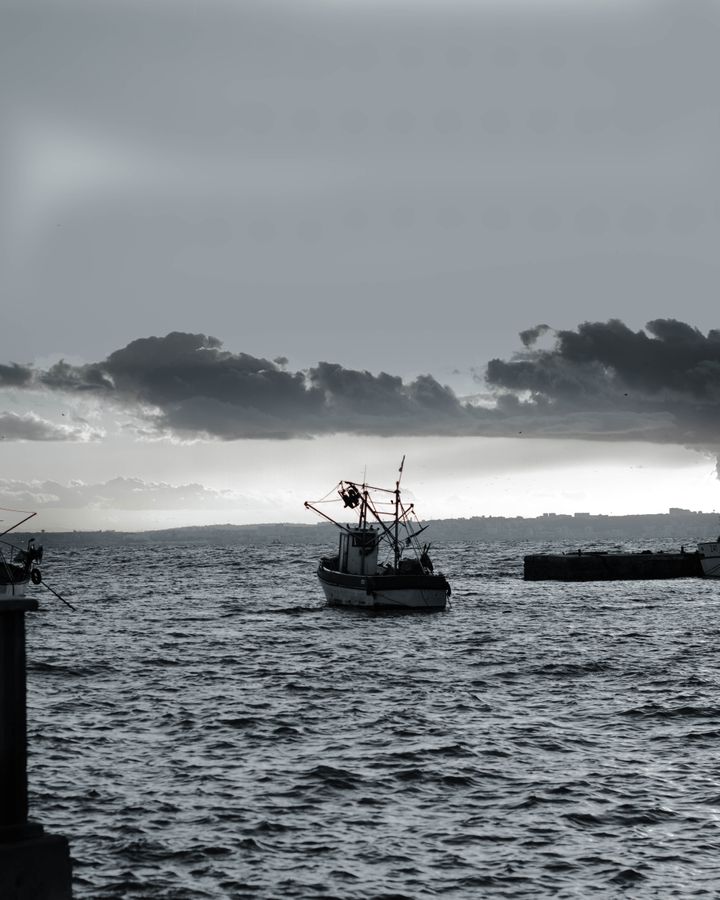 port de la perouse (alger este)